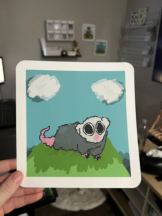 Opossum print!